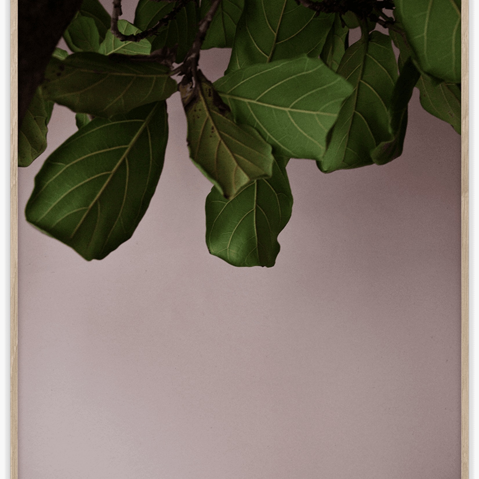 Paper Collective Paper Collective Poster Norm Architects Green Leaves 30x40