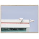 Paper Collective Paper Collective Poster Mikal Strom Los Angeles is pink 02 50x70cm