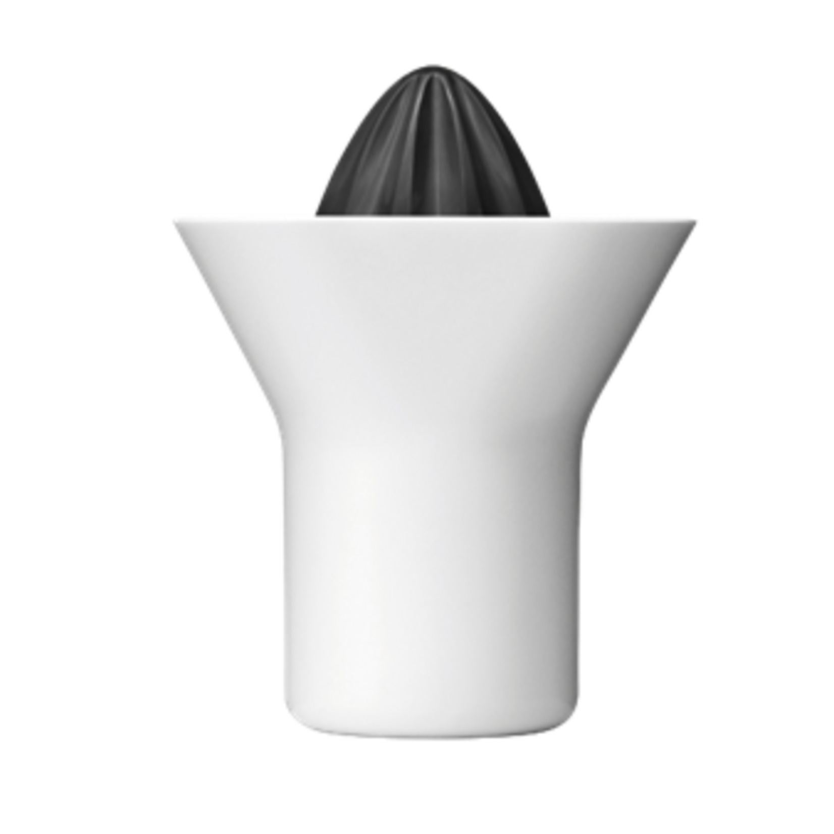 RIG-TIG by Stelton Rig-Tig Citruspers Wit Plastic 15cm