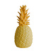 E-Brands Goodnight Light Pinacolada Lampe Plastique Safran