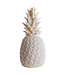 E-Brands E-Brands Goodnight Light Pinacolada Lampe Plastique Ivoire