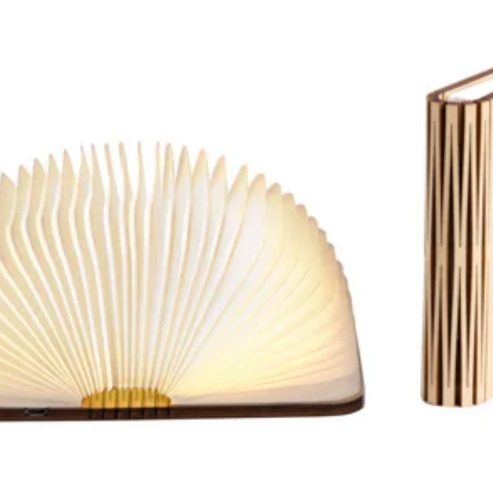 LEDR LEDR - Lampe - Livre - Érable - Marron - S