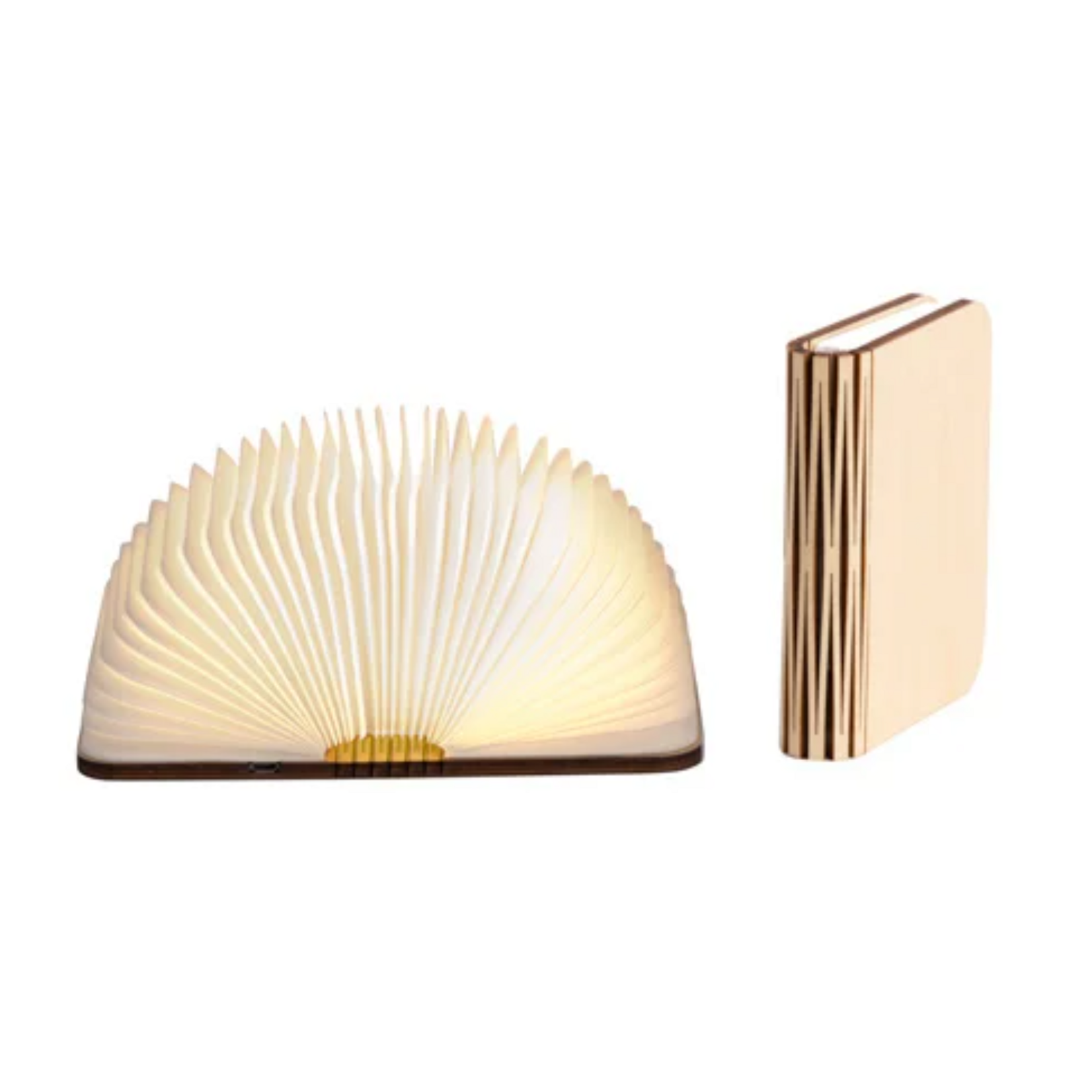 LEDR LEDR - Lamp - Boek - Esdoorn - Bruin - S