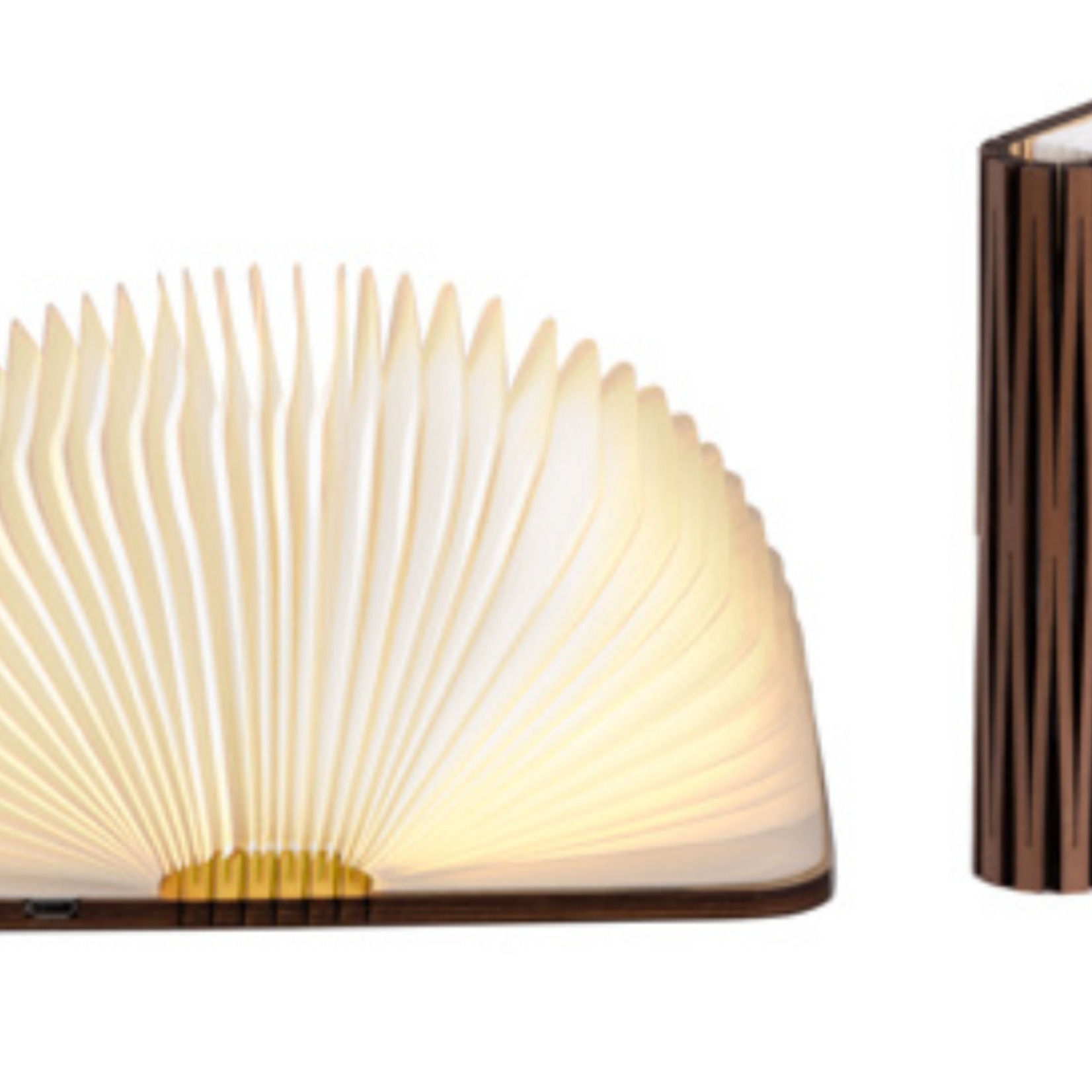 LEDR LEDR - Lampe - Livre - Noyer - Marron - M