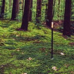 Weltevree Weltevree - Sticklight - draagbare buitenverlichting - Bottle Green