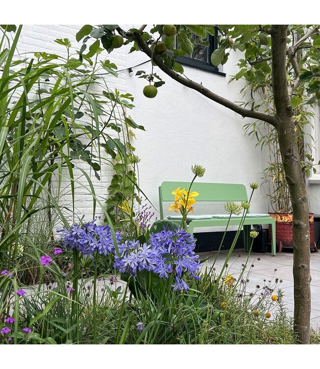Banc courbé avec dossier 140 -vert pâle