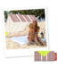 Fatboy Fatboy - MiaSun - Tente de plage portable - Melrose