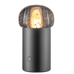 Blomus Blomus - IRIS - Mobiele Led Lamp - Metalic