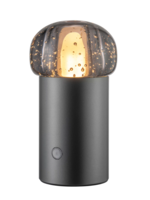 Blomus Blomus - IRIS - Mobiele Led Lamp - Metalic