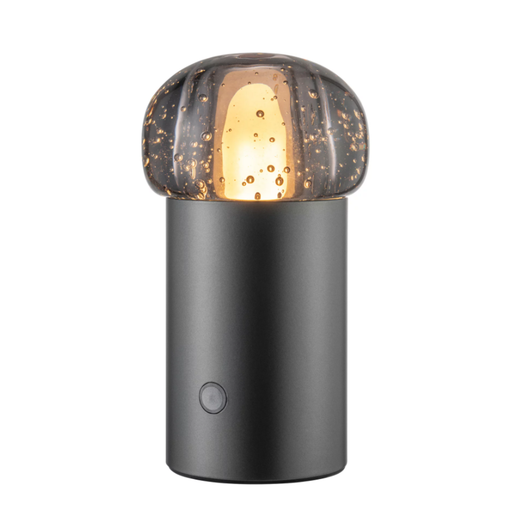 Blomus Blomus - IRIS - Mobiele Led Lamp - Metalic