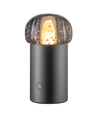 Blomus Blomus - IRIS - Mobiele Led Lamp - Metalic
