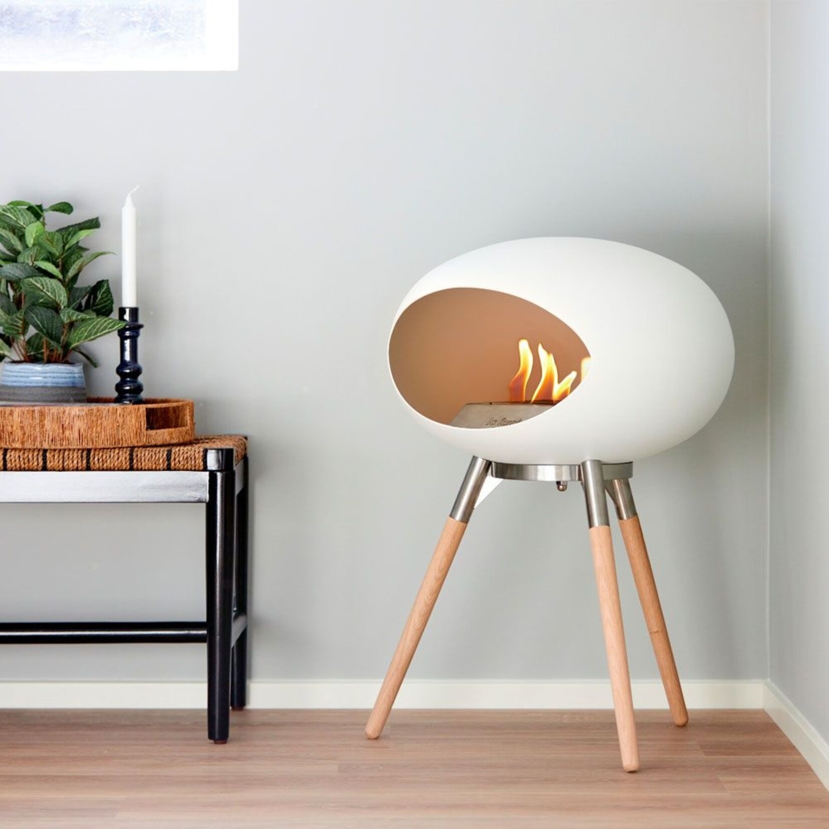 Le feu Le feu -  Ground low - White