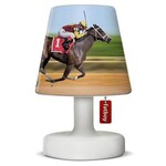 Fatboy Fatboy - cooper cappie -  Horse race