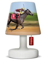 Fatboy Fatboy - cooper cappie -  Horse race