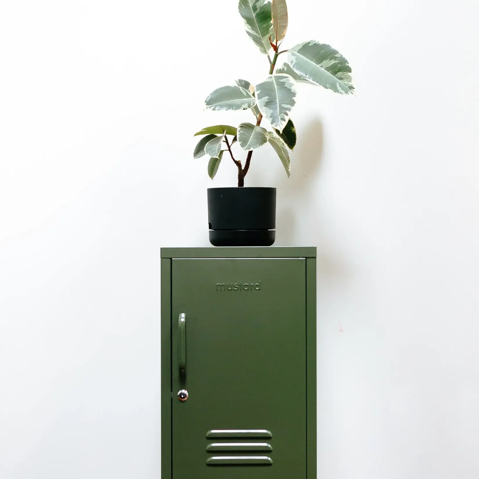 Mustard Made Mustard - The Shorty - Kast - Metaal - Olive