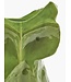 Serax - MARNI - Après Minuit - Vase - L - H30cm - Hibou - Vert