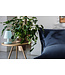 Fatboy - Edison - De Sfeer - Poolblauw - 1 stuk