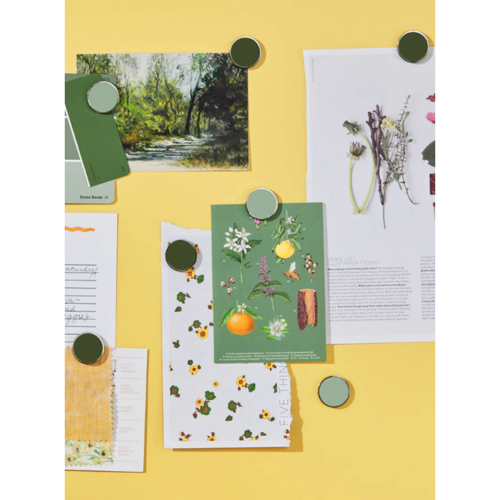 Mustard Made Mustard - The buttons - Magneten - Set van 6 - Sage