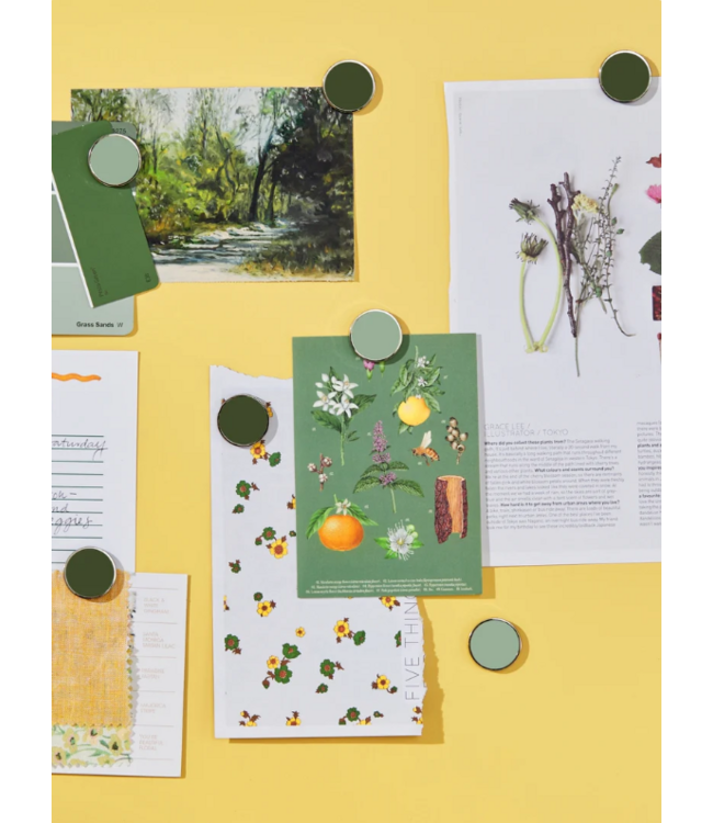 Mustard - Les boutons - Aimants - Lot de 6 - Sage