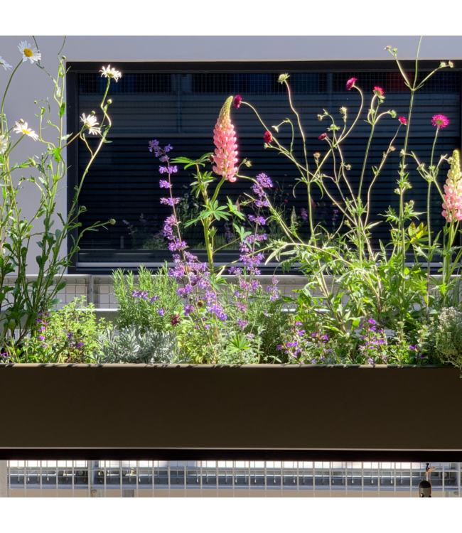Weltevree - Gardenworks - Moestuintafel en plantenbak op hoogte