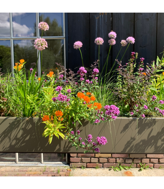 Weltevree - Gardenworks - Moestuintafel en plantenbak op hoogte