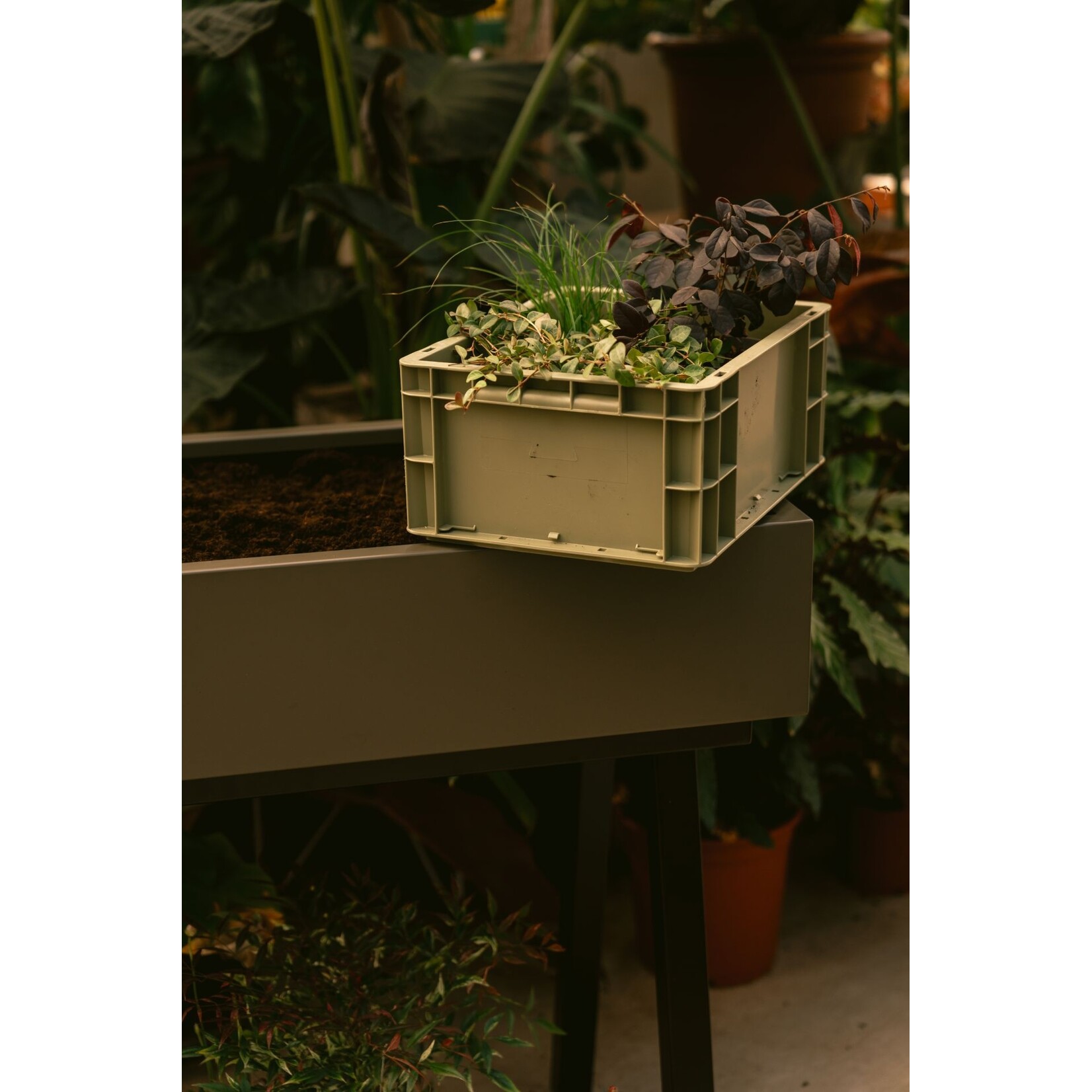 Weltevree Weltevree - Gardenworks Crate