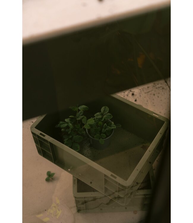 Weltevree Weltevree - Gardenworks Crate