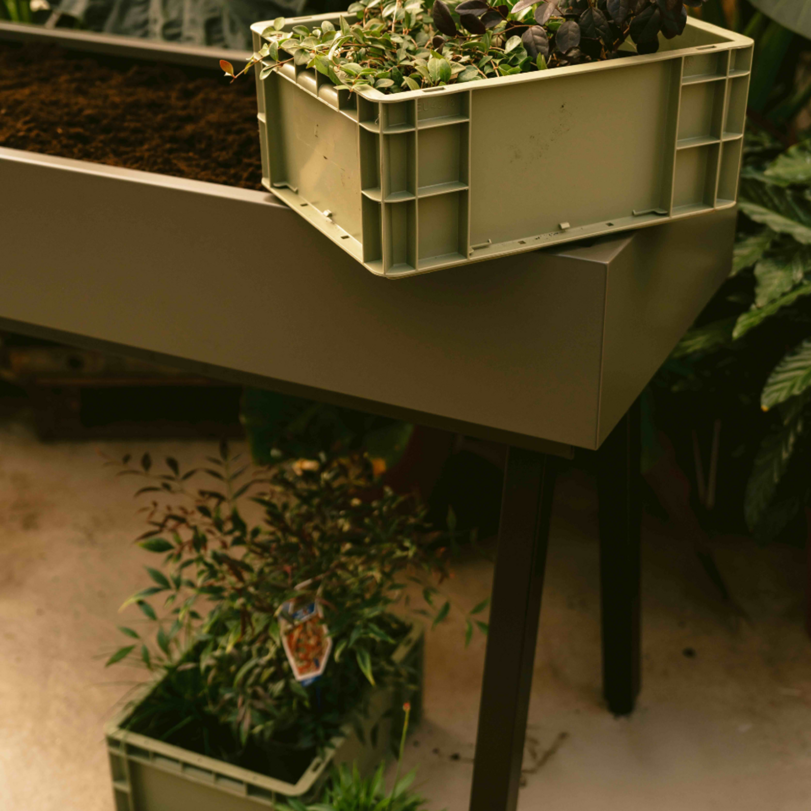 Weltevree Weltevree - Gardenworks Crate