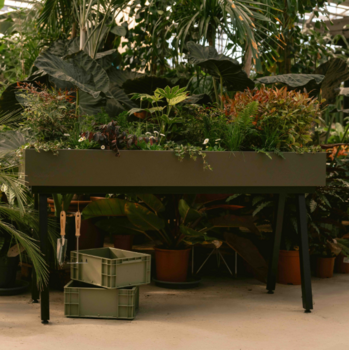 Jardinières