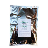 SET: Fliegenfalle Weide Professional + 240g Lockstoff: Fliegenschutz Pferd
