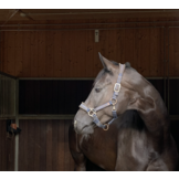 Stable Set - Insect spray for in the stable