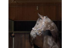Stable Set - Insecten spray voor in de stal
