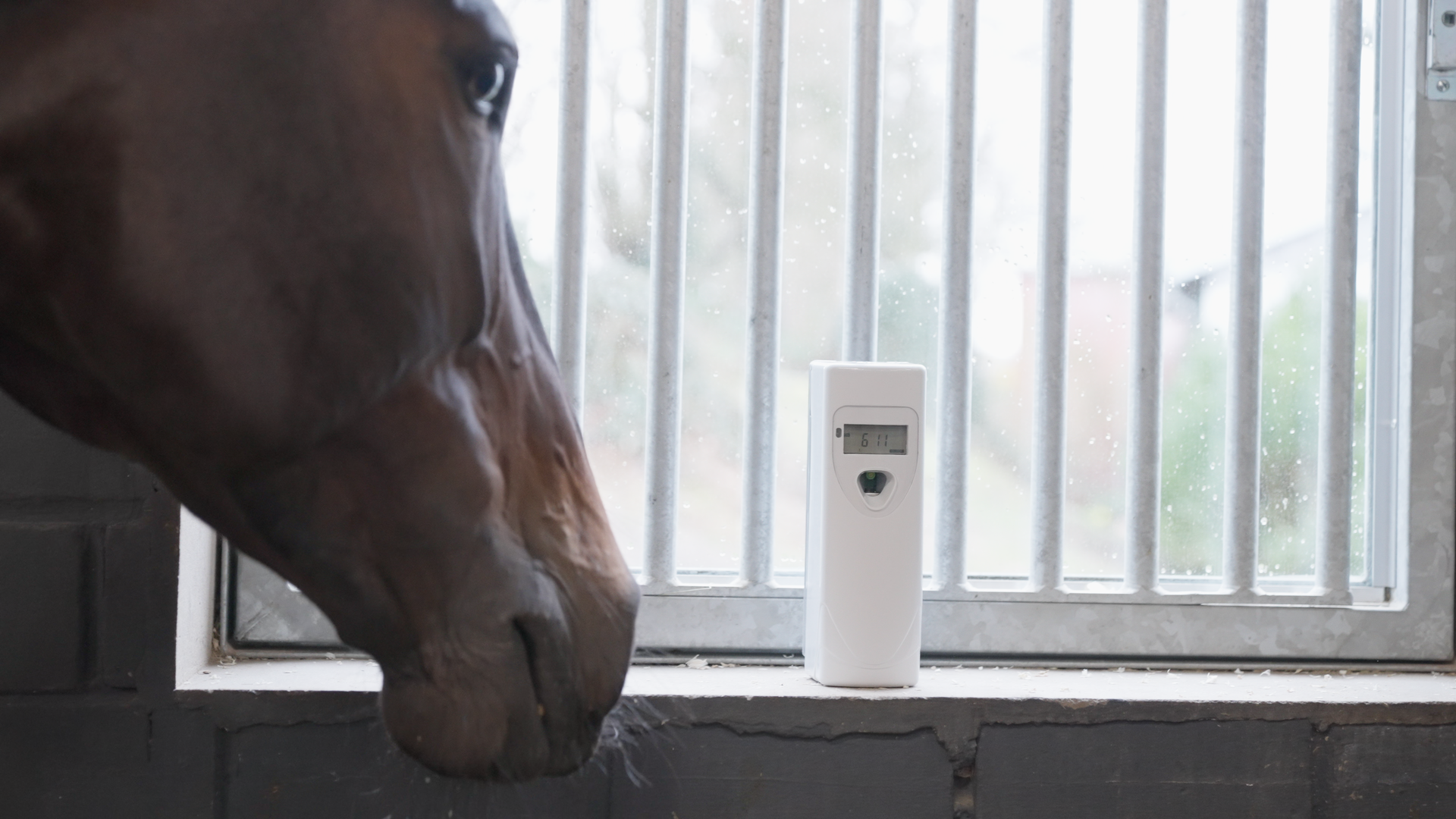 Insectenbescherming in de stal: muggen, dazen en vliegen