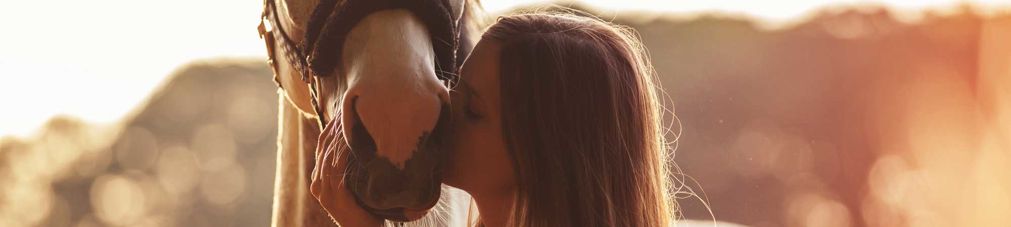 Onze donatie projecten