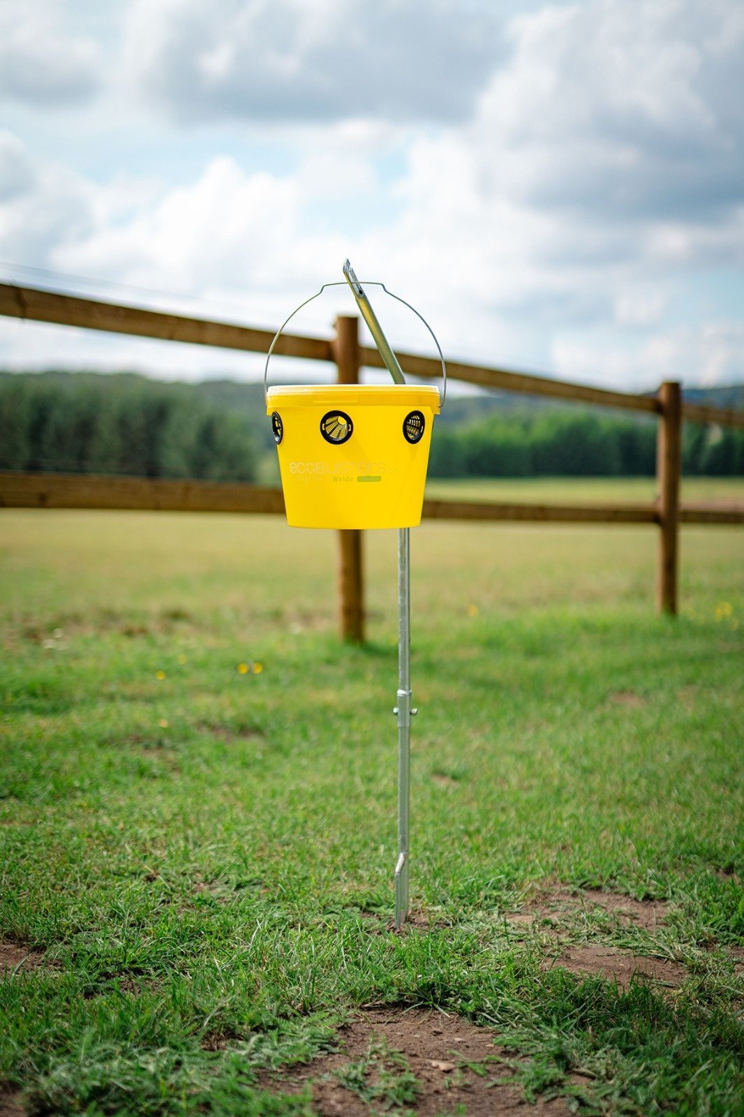 SET XL: Vliegenval Weide C + Opstelpaal + 240g Lokstof