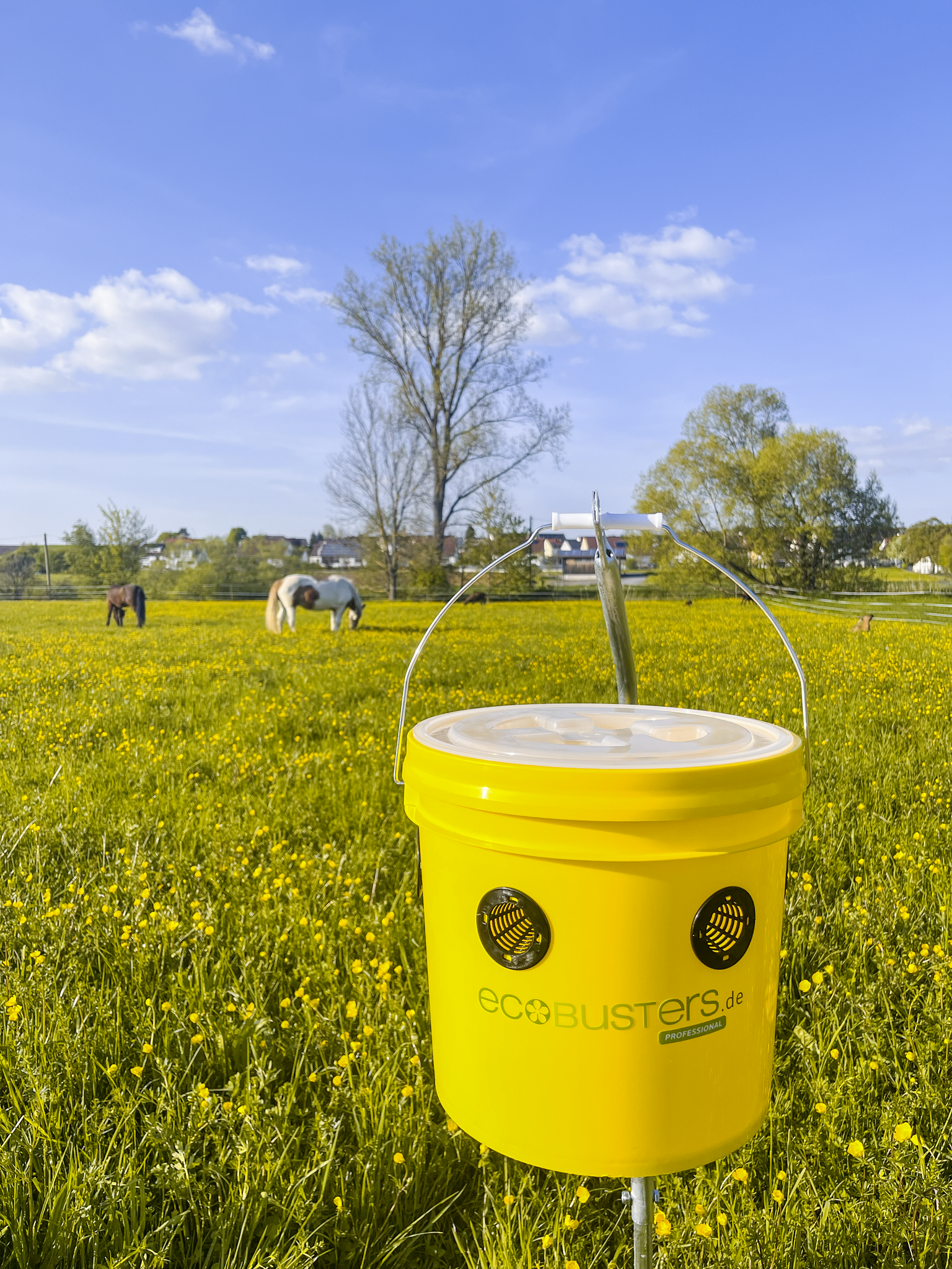 SET: Vliegenval Weide Professional + 240g Lokstof