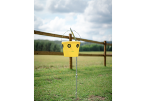 Iron Mounting Post Fly Trap Meadow