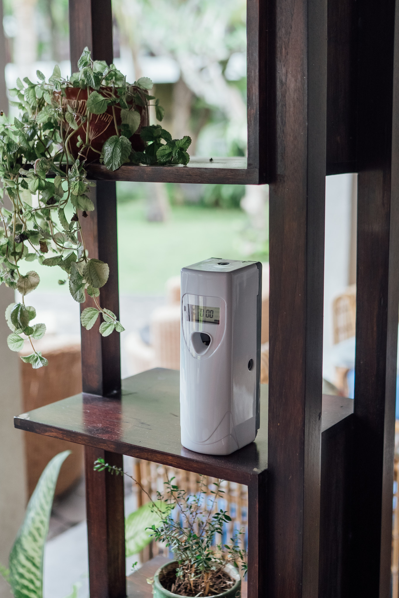 Insects in hibernation? Unfortunately not!