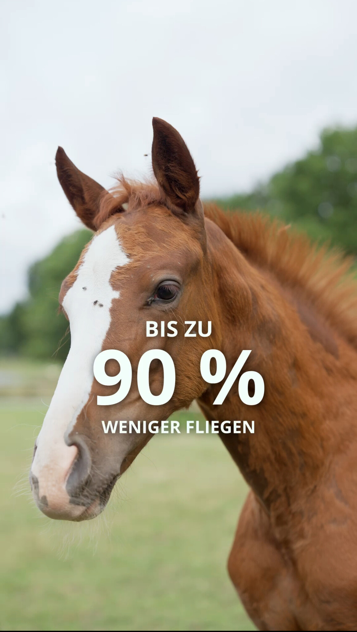 Welches Produkt für welche Situation? Ein Leitfaden für die richtige Wahl