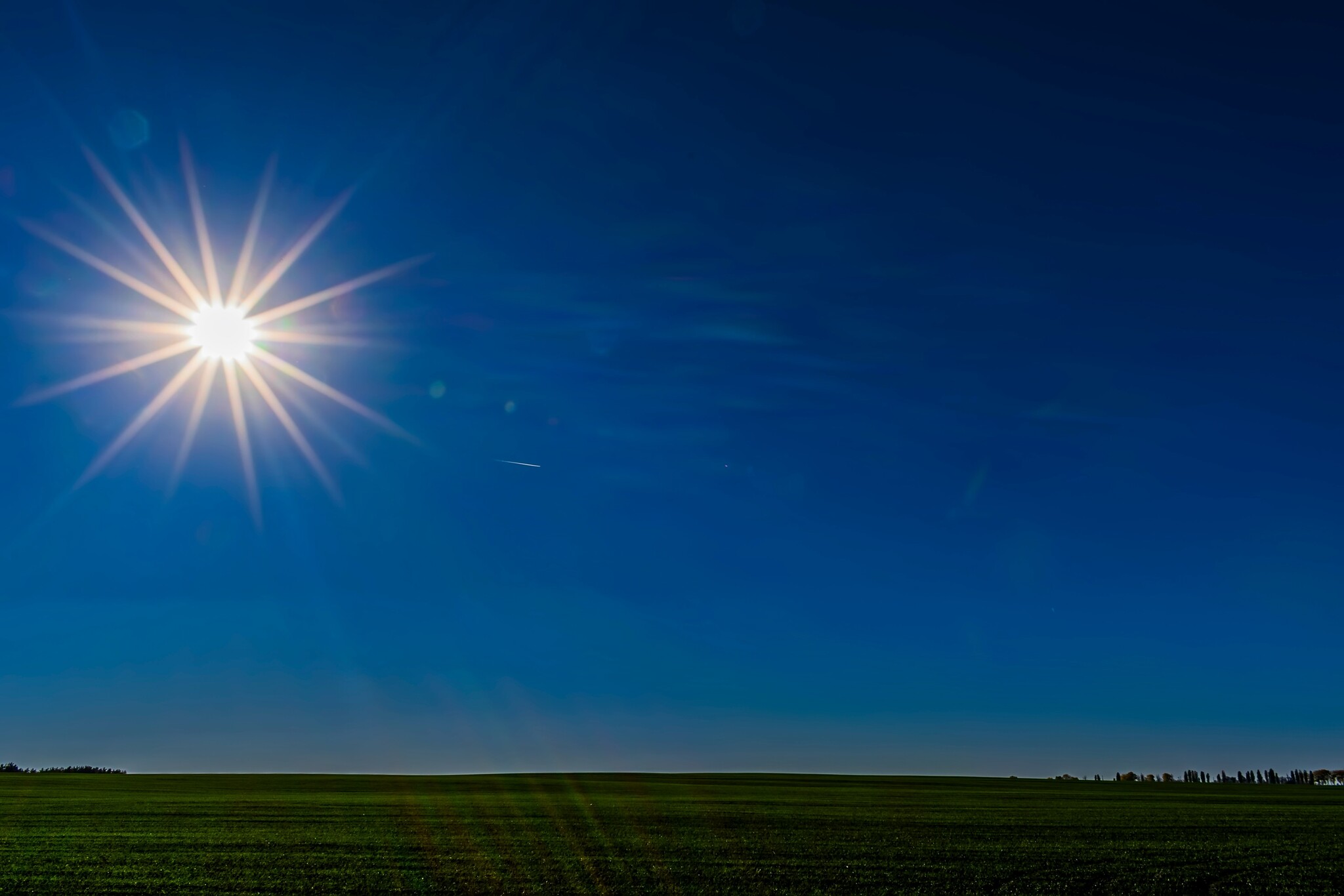 Pferde im Sommer: Tipps für Gesundheit und Wohlbefinden