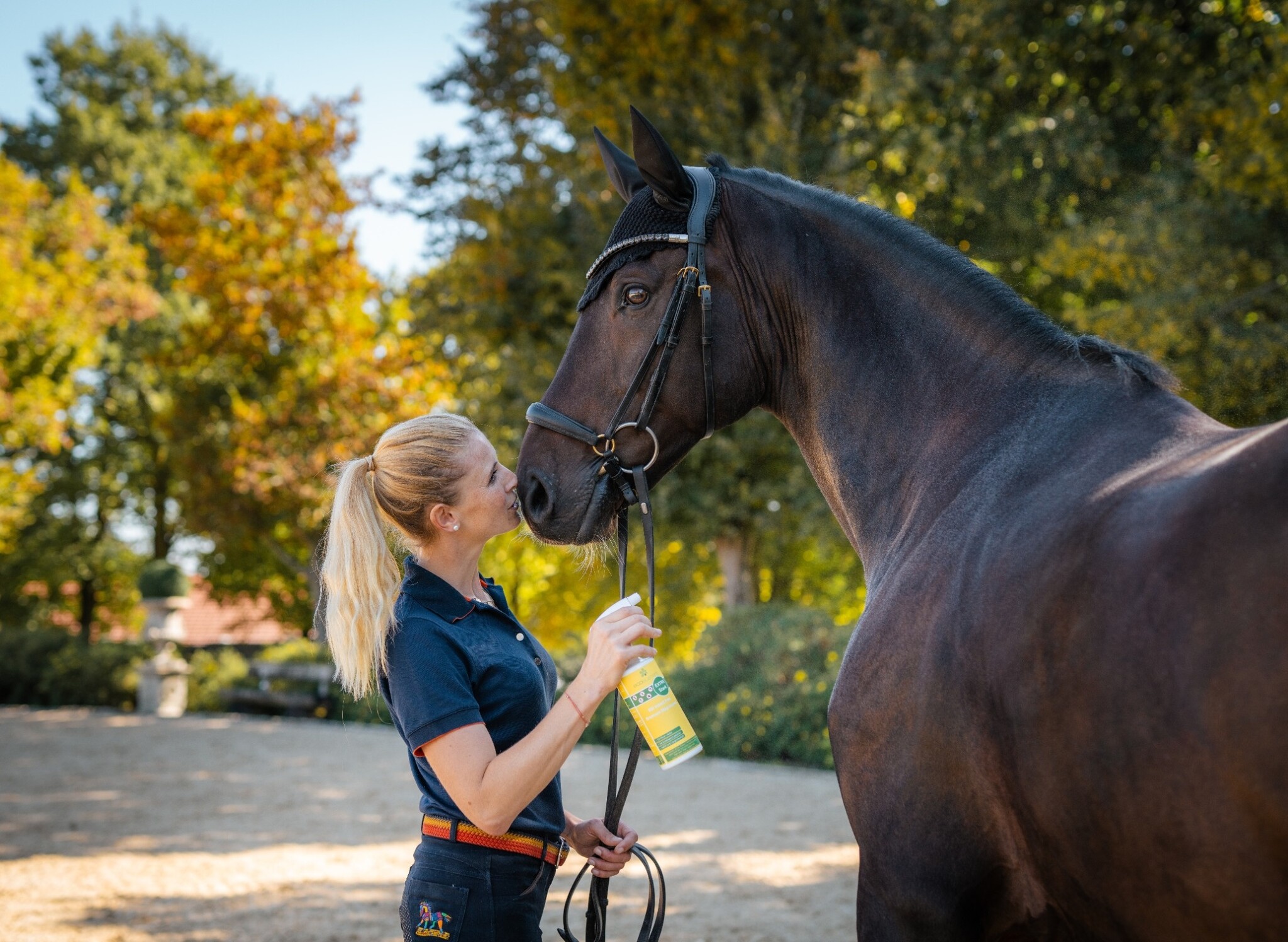 Bremsenplage im Sommer: So werden Sie sie los