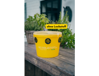 Vliegenval Weide Compact