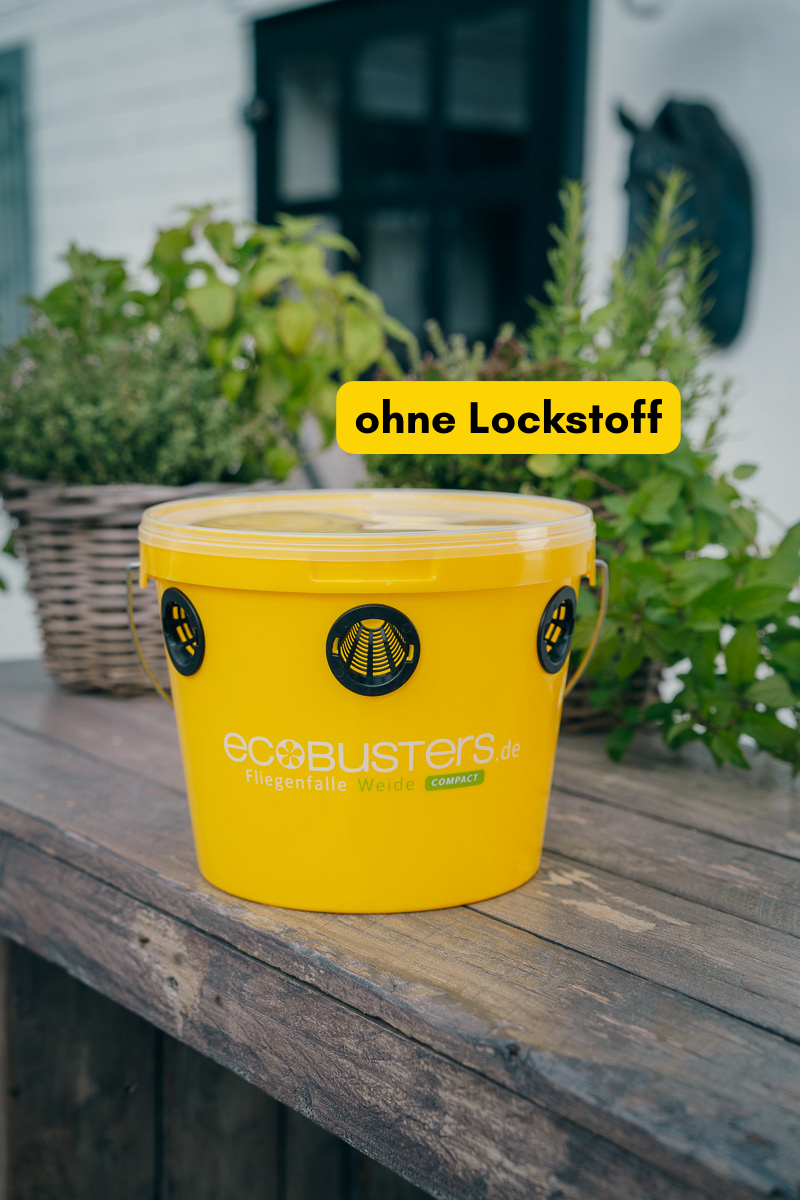 Fliegenfalle Weide Compact (OHNE LOCKSTOFF)