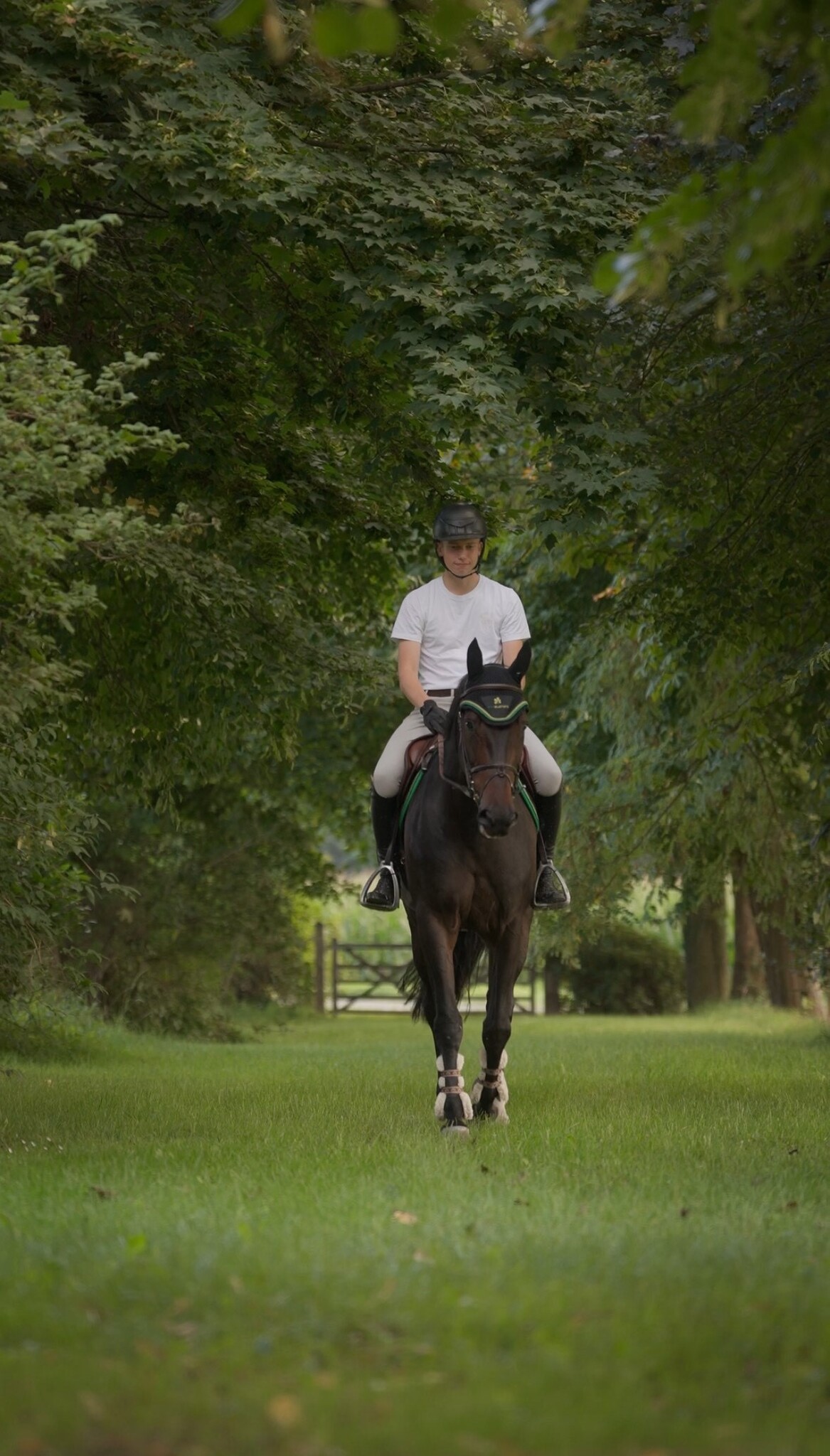 The New Textile Spray: Long-Lasting Protection Against Insects for Riders & Horses