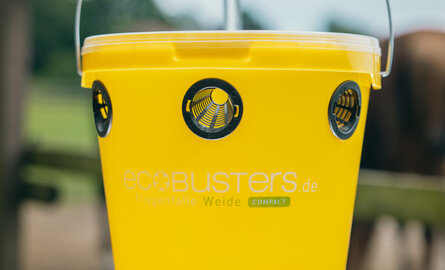 Jetzt ist die Zeit: Die Fliegenfalle für die Weide aufstellen!