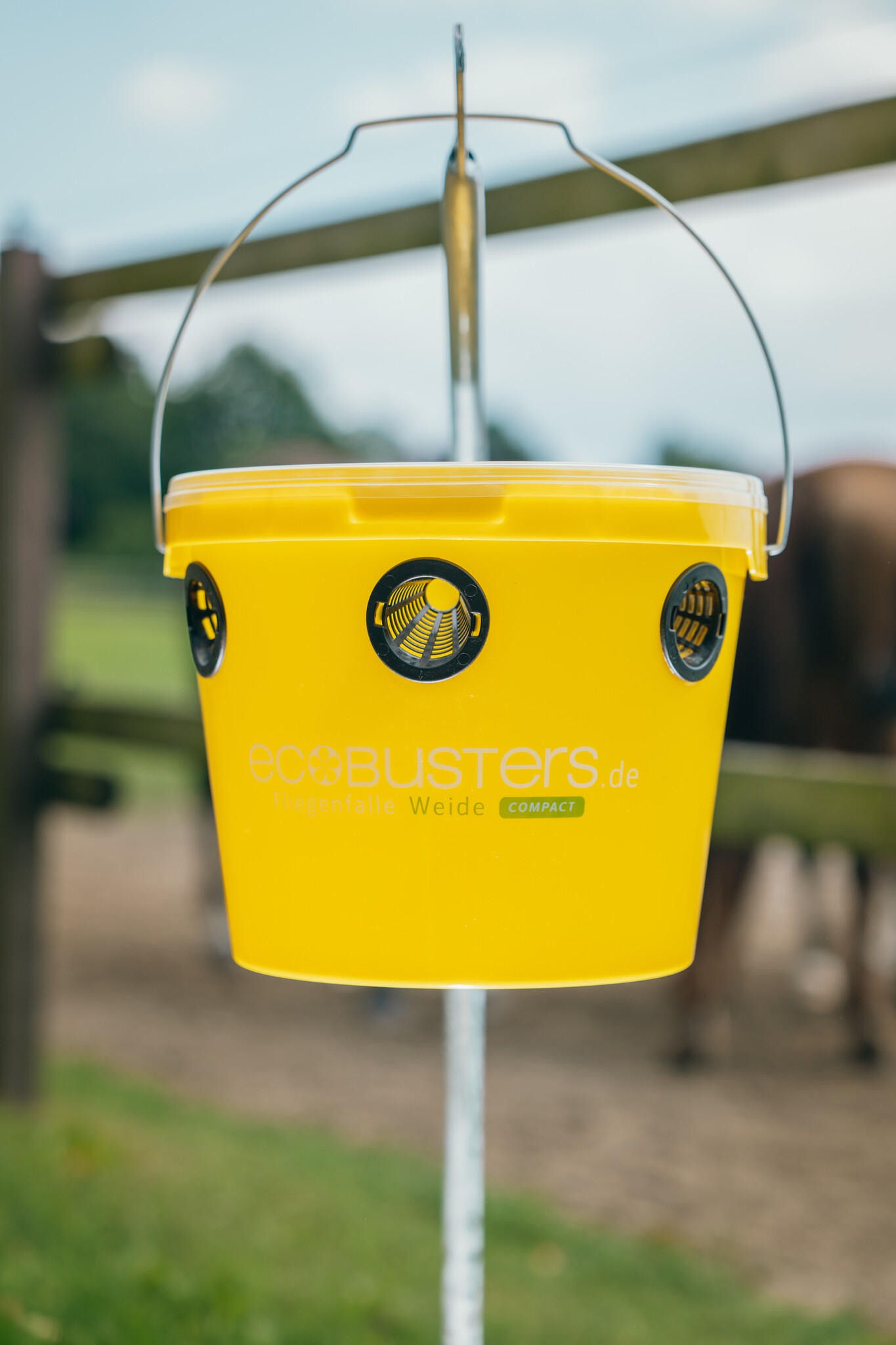 Temperatures are rising, the grazing season is starting – and unfortunately, so is fly season.