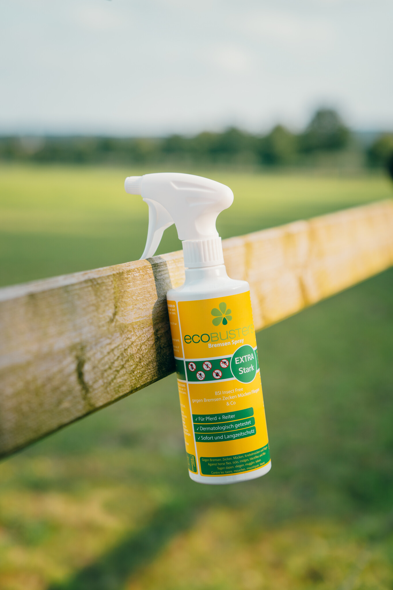 Hirschlausfliegen bei Pferden – Was du wissen solltest 