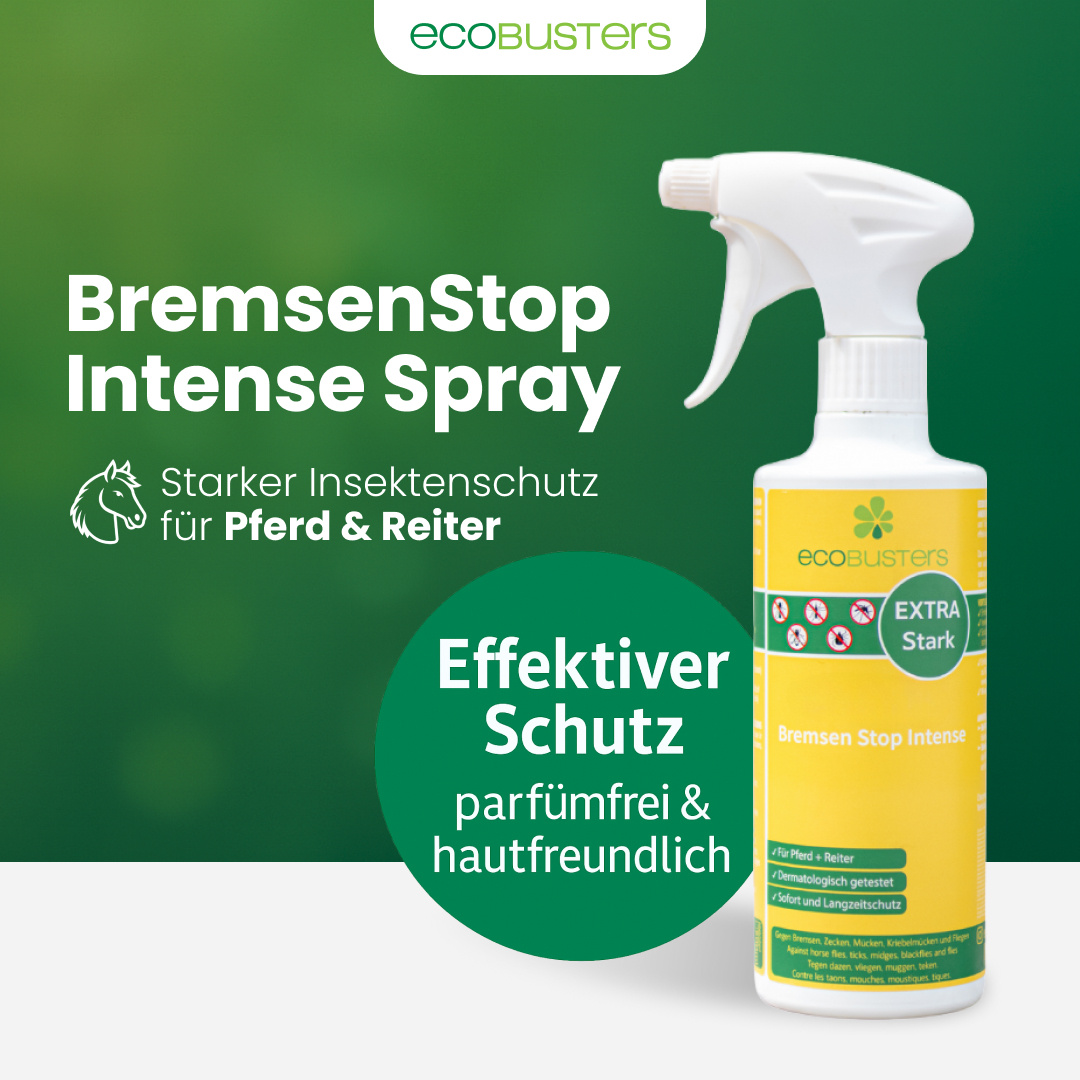 DazenStop Intense Spray 500 ml voor paard en ruiter ter bescherming tegen dazen, muggen, teken en vliegen