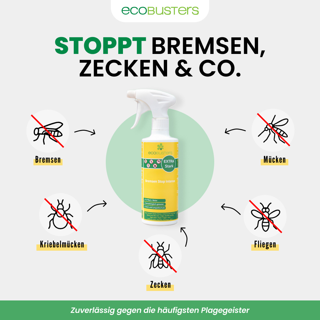 Insect Stop Intense Spray 500 ml