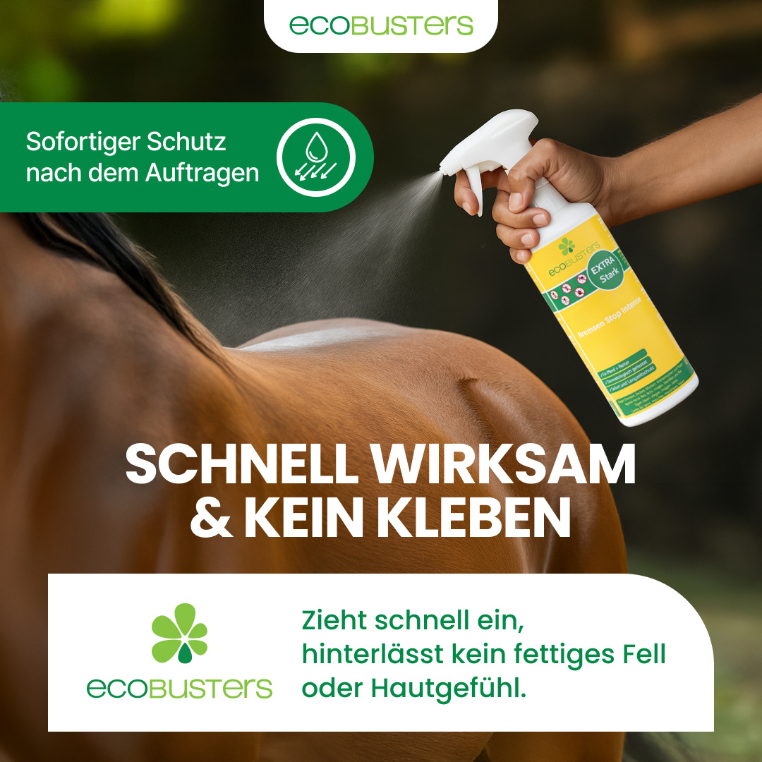 DazenStop Intense Spray 500 ml voor paard en ruiter ter bescherming tegen dazen, muggen, teken en vliegen